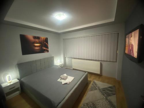 una piccola camera da letto con un letto e una TV di beautiful view a Brăila