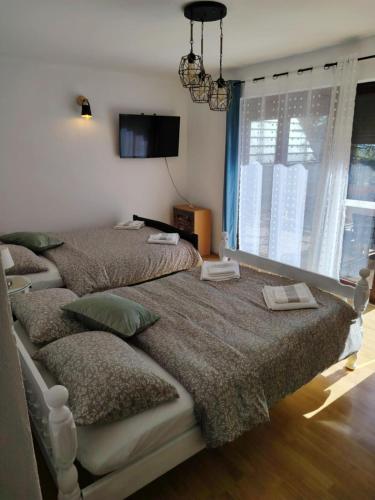 a bedroom with two beds and a large window at Domus Foresta Apartmani in Brdo