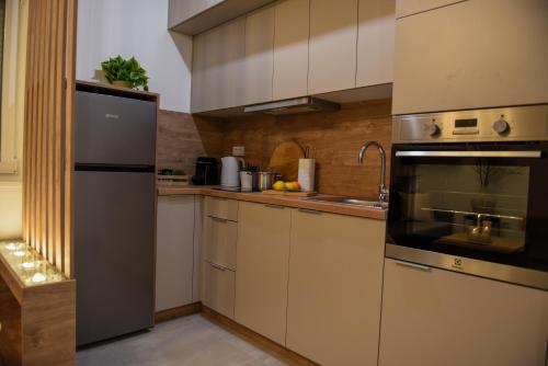 Η κουζίνα ή μικρή κουζίνα στο Apartman P Lux 1 Ćuprija