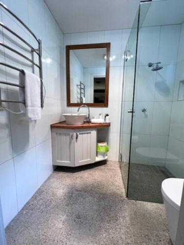 a bathroom with a sink and a glass shower at Blue Wren Ridge in Buffalo River