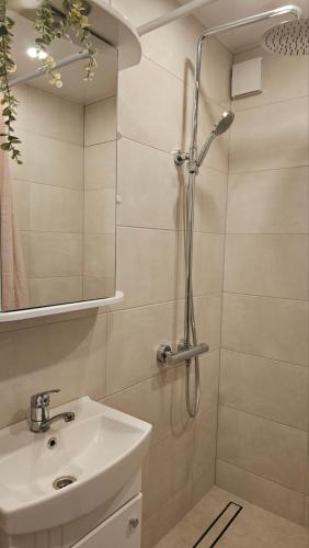 a bathroom with a shower and a sink at Kambarių nuoma Kaune Taikos pr in Kaunas
