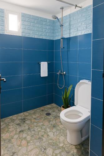 a blue bathroom with a toilet and a shower at Grotte Salwa in Aït Benhaddou