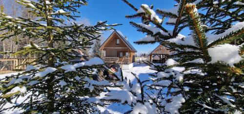 Klimatyczne drewniane Domki Jagodna-Spalona 6D jacuzzi sauna narty biegowe,wyciąg 150m