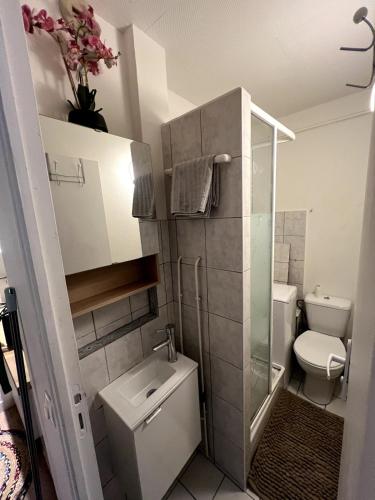 a small bathroom with a toilet and a sink at Studio Cozy in Larue