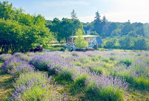 Vulcan eco lodge retreat