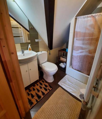 a small bathroom with a toilet and a sink at Domek Kojsówka in Witów