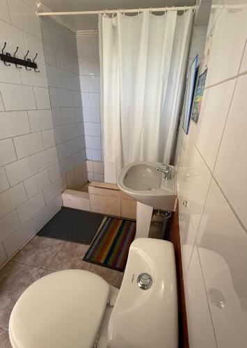 a small bathroom with a toilet and a sink at La Casa EcoExplor in San Pedro de Atacama