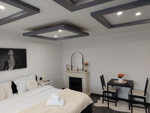 een slaapkamer met een bed en een open haard en een tafel bij Hera Exclusive Stay in Timişoara