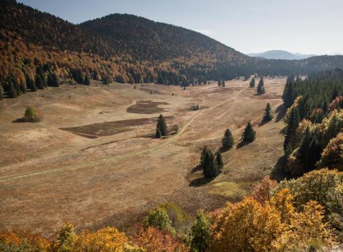 an open field with trees on the side of a mountain at Gîte meublé Les Centaurées in Saint-Martin-en-Vercors