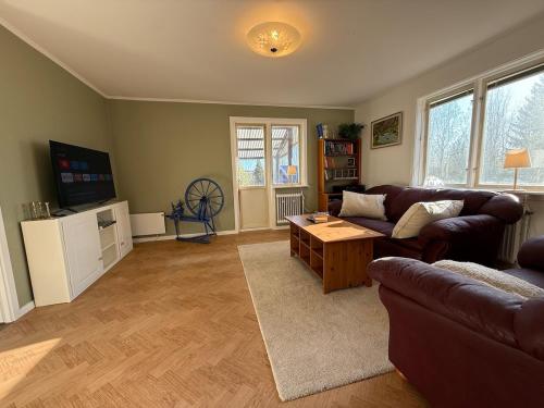 Una sala de estar con un sofá y una mesa de café. en Cosy comfy house in the countryside, en Borgvattnet