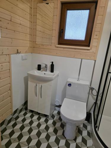 Et badeværelse på WYPOCZYWANKO w BORSKU domek 42