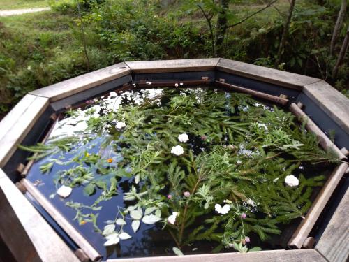 Κήπος έξω από το Шепіт лісу