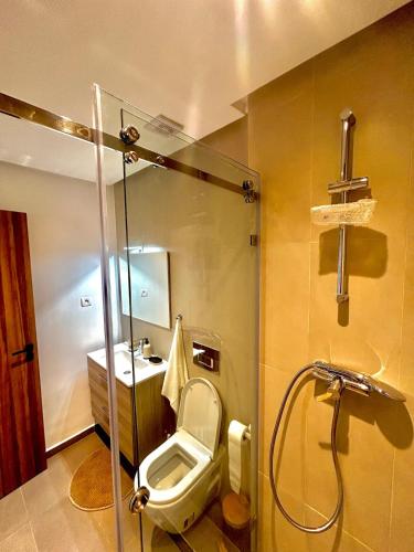 a bathroom with a shower with a toilet and a sink at Luxury Studio in a secured residence in Aïn Harrouda