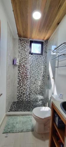 a bathroom with a shower with a toilet and a sink at Lickety Split 2 - Northside, Oceanview Retreat in Caye Caulker