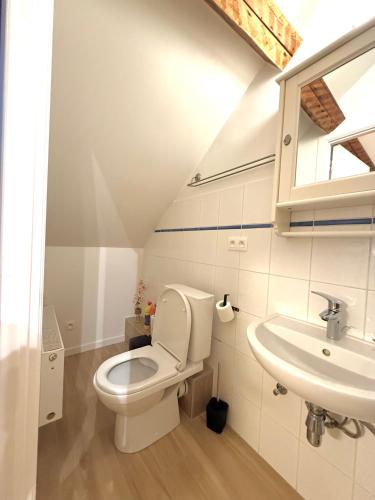 ein Badezimmer mit Toilette und Waschbecken in der Unterkunft European Lodge Duplex in Brüssel