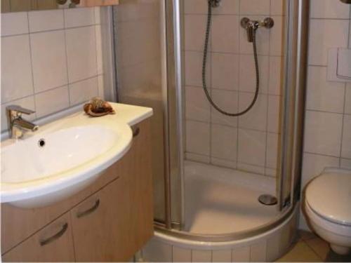 a bathroom with a shower and a sink and a toilet at Ferienhaus im skandinavischen Stil in Granzow