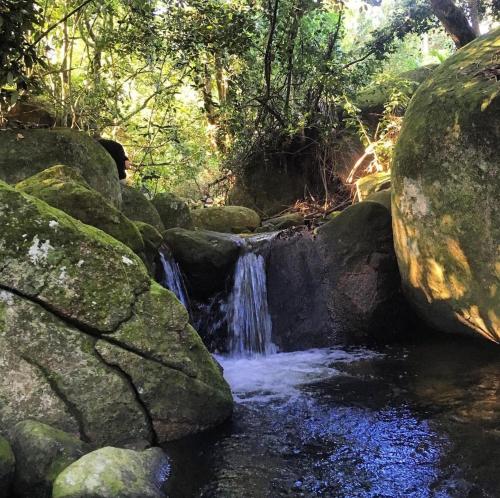 Naturlandskabet i nærheden af villaen