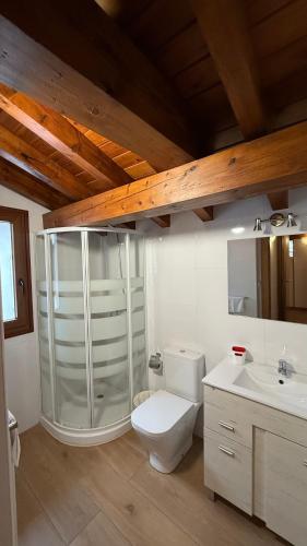 a bathroom with a toilet and a shower and a sink at Apartamentos La Solana in Potes