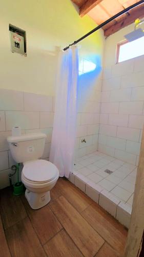 a bathroom with a toilet and a shower at Hotel Victoria Atitlan in San Pedro La Laguna