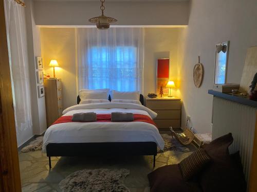 a bedroom with a large bed in front of a window at Evergreen Elati in Elati Trikalon