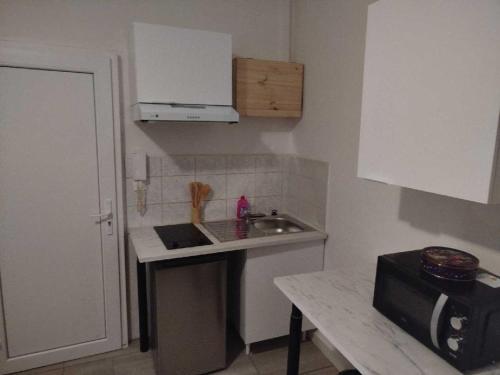 Cozy studio في Saint-Max: مطبخ صغير مزود بحوض وميكروويف