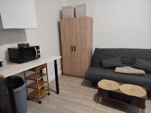 Cozy studio في Saint-Max: غرفة معيشة مع أريكة وميكروويف