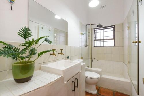 a bathroom with a sink and a toilet and a plant at Authentic Cape Dutch Gem - Relax & Unwind in Cape Town