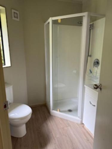 een badkamer met toilet en glazen douche bij Fern Cottage in Mangonui