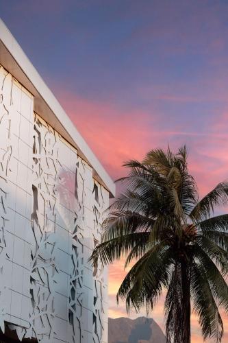a palm tree next to a building with a palm tree at Hotel Reva TAHITI in Papeete