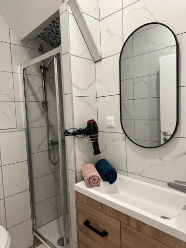 a bathroom with a shower and a sink and a mirror at Appartement Douceur in Horbourg