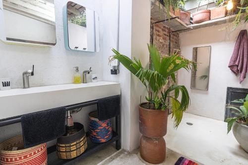 Φωτογραφία από το άλμπουμ του Casa Azul Tropical House by Xarm Apartments στη Σάντα Μάρτα