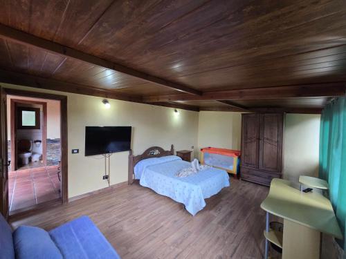 Un dormitorio con una cama y un televisor de pantalla plana. en Casa Rural Vicente, en Vallehermoso