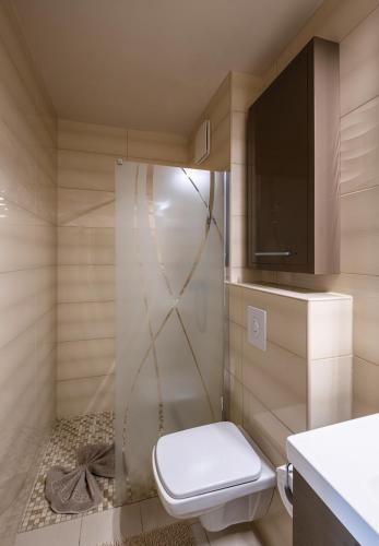 a bathroom with a shower with a toilet and a sink at Kriszta Residence in Balatonalmádi