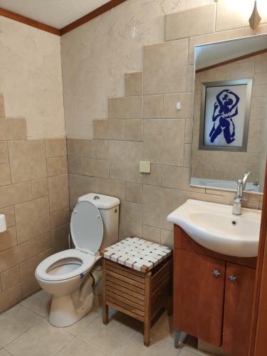 a bathroom with a toilet and a sink at galilpitality צימרים ליד אגמון החולה בשדה אליעזר in Sede Eli‘ezer