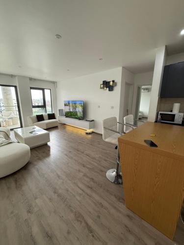 Μια τηλεόραση ή/και κέντρο ψυχαγωγίας στο Penthouse with lakeside view at Riviera Residence