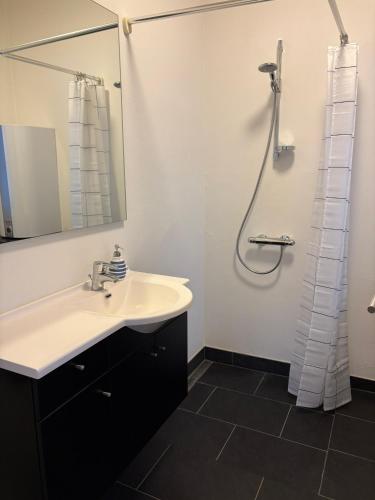 a bathroom with a sink and a shower at Kildebakkegaard Bed and Breakfast in Nørager