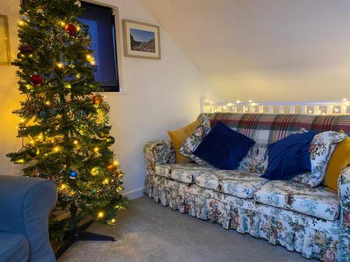 a living room with a christmas tree and a couch at Ty Aelwyd in St. Davids