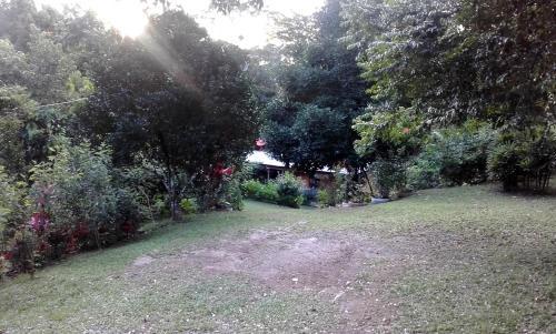 a yard with a garden with trees and a house at Hostal Familiar El Ángel Panamá B&B in Pajonal Arriba