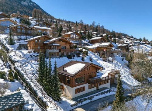Ski In Out chalet for 10 people with breathtaking view
