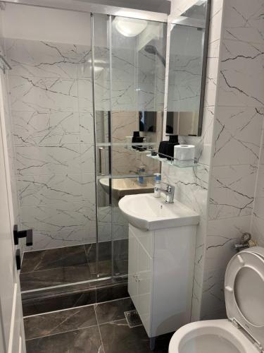 a bathroom with a toilet and a sink and a mirror at Albert Studio in Drobeta-Turnu Severin