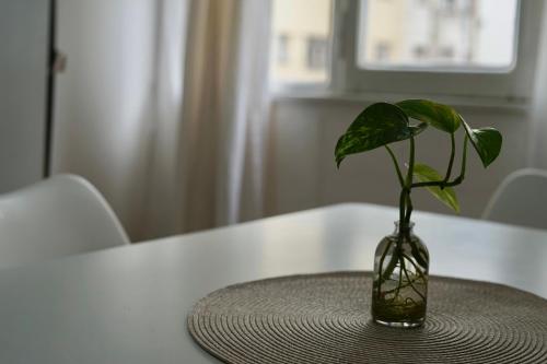 Imagen de la galería de Playa, Casino y Güemes a metros, Tu estadía ideal, en Mar del Plata