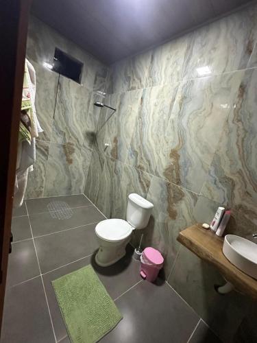 un bagno con un water e un lavandino di Casa Sunset Alter a Santarém