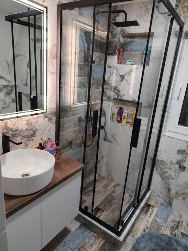 a bathroom with a sink and a shower at Vila Dunja Pale in Pale