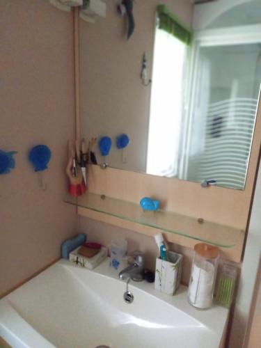 Le Gaoucher في فيل سانت غيرونز: حمام مزود بحوض ومِرآة