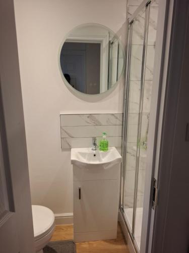 a bathroom with a toilet and a sink and a mirror at The Greenwood Guest Room in Brimsdown Station
