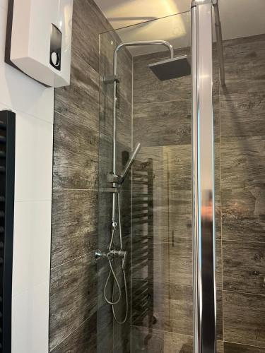 a shower with a glass door in a bathroom at Riverside-Appartements in Boppard