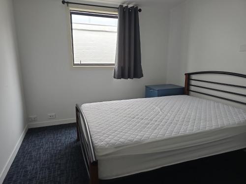 Gallery image of SpinCity Lodge Auckland in Auckland