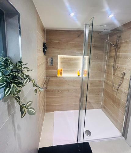 a shower with a glass door in a bathroom at One bed mews in Dublin