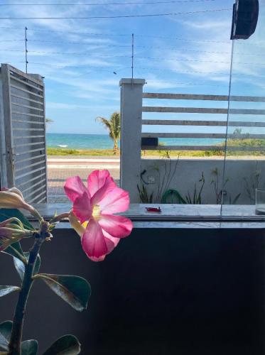 Naturlandskabet i nærheden af den private indkvartering