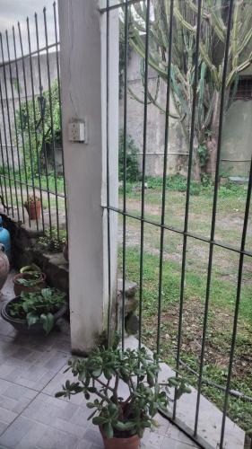 ein eisernes Tor mit Pflanzen in einem Garten in der Unterkunft Casa de la Abuela in Reyes